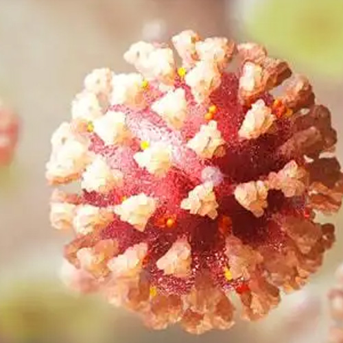 UV-Lichter und -Lampen: UV-C-Strahlung, Desinfektion und Coronavirus